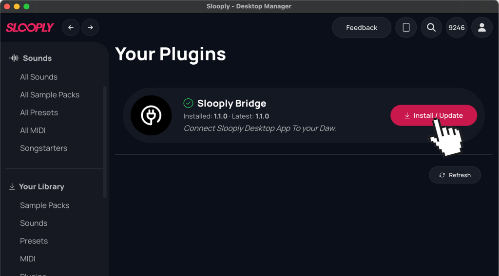 Connect Slooply Bridge VST